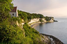 Image result for stevns klint