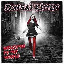 Kuvahaun tulos haulle bonsaikitten