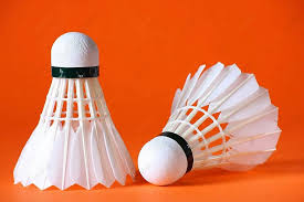 Image result for Shuttlecocks Badminton Club