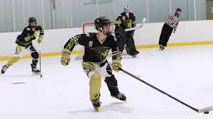 Image result for Letchworth Roller Hockey Club