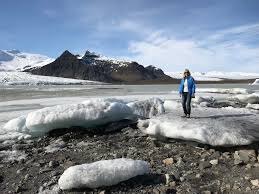 Image result for Ildblomkarse