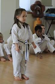Image result for Aylesbury Vale Seido Karate