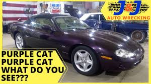 Image result for Amananth Purple 1998 Jaguar
