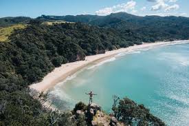 Image result for new chums beach