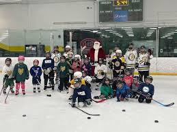 Image result for Hampstead Heath Hockey