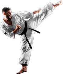 Image result for Ryusui-ryu Martial Arts School East Grinstead