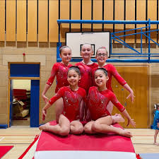 Image result for City Of Liverpool Gymnastics Club