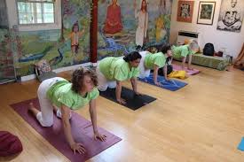 Image result for Affiliated Sivananva Yoga Teacher