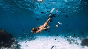 Image result for East Snorkellers