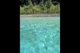 Image result for Leek Park B C