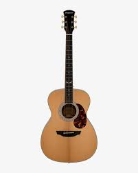 Image result for guitar