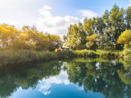 Image result for Grendon Lakes, Northants