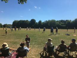 Image result for Shepherdswell Cricket Club