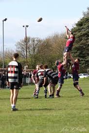 Image result for Silhillians Rugby Union Football Club