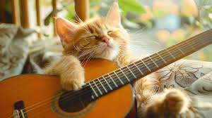 Image result for Cat sleeping in guitar