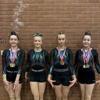 Image result for Wyre Forest School Of Gymnastics