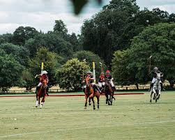 Image result for Kirtlington Park Polo Club