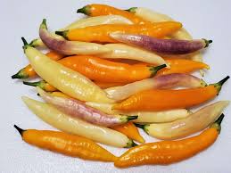 Afbeeldingsresultaat voor aji habanero hot pepper