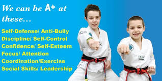 Image result for Abbey Fit Tae Kwon Do