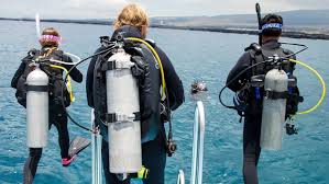 Image result for Divemaster Scuba