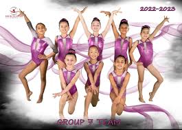 Image result for Hull High Flyers Gymnastics Club