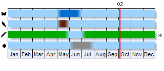 Attēlu rezultāti vaicājumam “Platyptilia tesseradactyla”