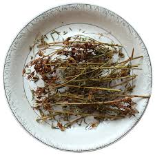 Attēlu rezultāti vaicājumam “Hypericum perforatum fruit”