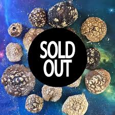 Attēlu rezultāti vaicājumam “Amanita regalis”