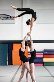 Image result for Sports Acro