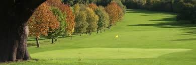 Image result for Aquarius Golf Club
