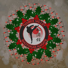 Image result for Thames Valley Shotokan Karate