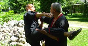 Image result for Windsor WingTsun Kung fu