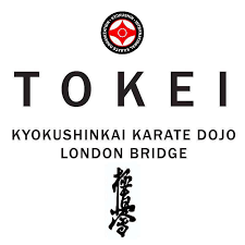 Image result for Tokei Martial Arts Club