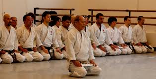 Image result for York University Karate Club