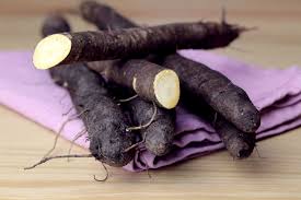 Image result for Schwarzwurzeln