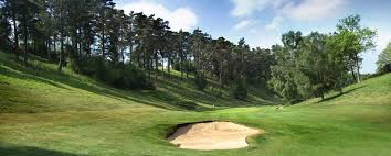 Image result for Hindhead Golf Club
