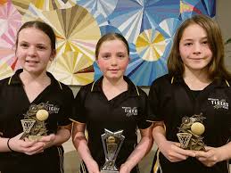 Image result for Futureprint Tmts Netball Club