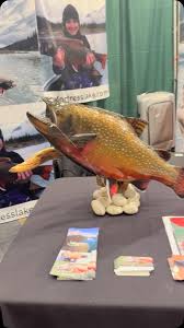 Image result for The Lancaster Fish