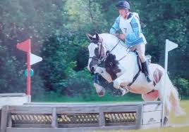 Image result for Chobham and District Riding Club