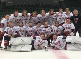 Image result for West Coast Wasps Skater Hockey Club