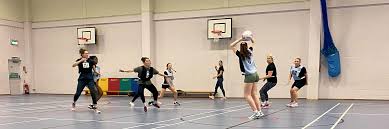 Image result for Ripley Netball Club