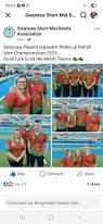 Image result for Llansamlet Bowls Club