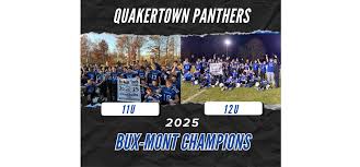 Image result for Hamilton Panthers Association Football Club