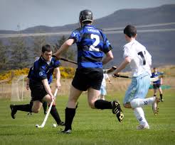 Image result for Skye Camanachd