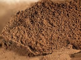 Attēlu rezultāti vaicājumam “Reticularia jurana”