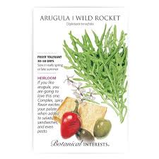 Attēlu rezultāti vaicājumam “Diplotaxis tenuifolia fruit”