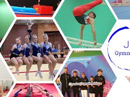 Image result for Worcestershire Gymnastics Academy