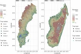 Attēlu rezultāti vaicājumam “Oligia sp.”