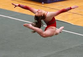 Image result for South Western Gymnastics Club