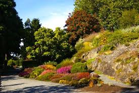 Image result for Rock & Heather Club